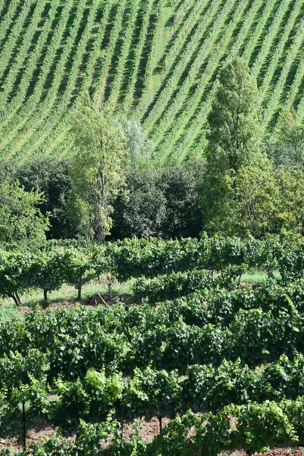 Annunciata Soul Retreat Hotel Rovato Italy